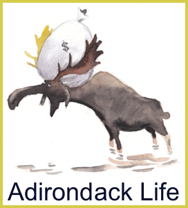 Adirondack Life archives