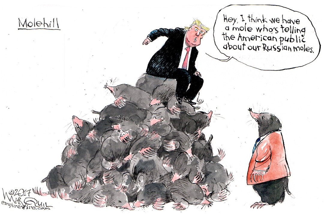 Image result for Trump as a russian mole, cartoons